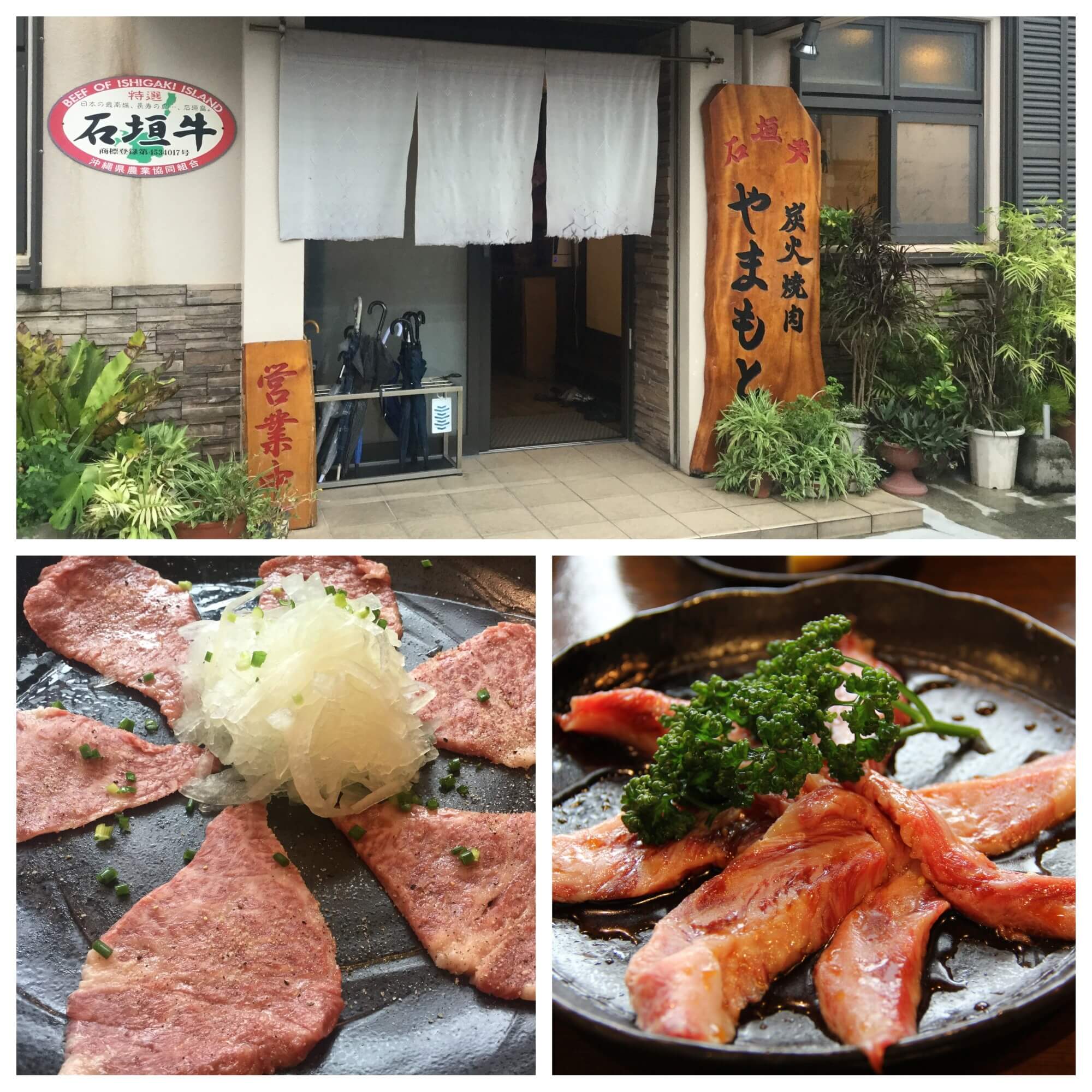 石垣島グルメ 炭火焼肉やまもと 言わずと知れた石垣牛焼肉の名店 陸マイラー医師の隠密sfc修行 石垣島グルメ 炭火焼肉やまもと 言わずと知れた石垣牛焼肉の名店 陸マイラー医師の隠密sfc修行